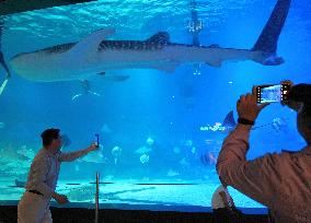 Marine Tourism Market