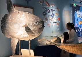 Marine Tourism Market