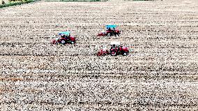 Corn Sowing