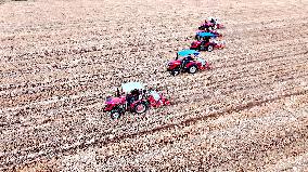 Corn Sowing