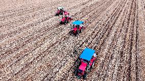 Corn Sowing