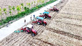 Corn Sowing