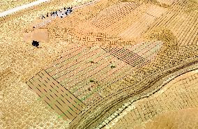 Ecological Security Barrier in Northern China