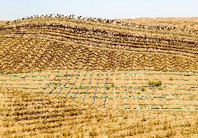 Ecological Security Barrier in Northern China