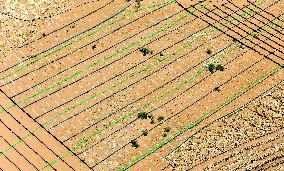 Ecological Security Barrier in Northern China