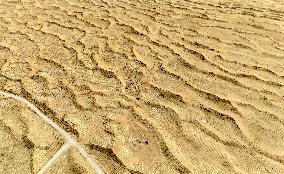 Ecological Security Barrier in Northern China