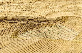 Ecological Security Barrier in Northern China