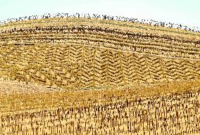 Ecological Security Barrier in Northern China