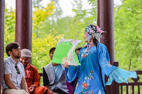 Foreign Students Participated in The Apricot Cultural Exchange Activity