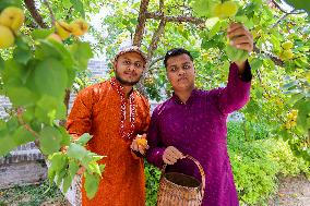 Foreign Students Participated in The Apricot Cultural Exchange Activity