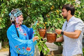 Foreign Students Participated in The Apricot Cultural Exchange Activity