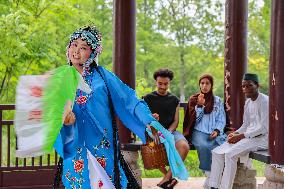 Foreign Students Participated in The Apricot Cultural Exchange Activity