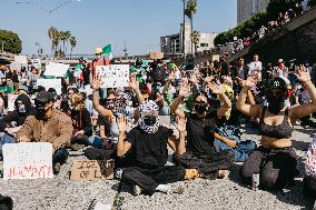 ICE Raids Spark Protest Riot - LA
