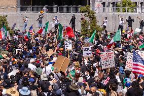ICE Raids Spark Protest Riot - LA