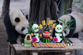 Chongqing Zoo Twin Giant Pandas Birthday