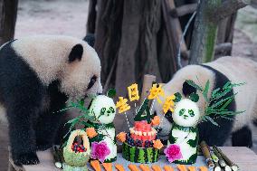 Chongqing Zoo Twin Giant Pandas Birthday