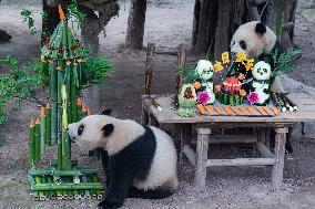 Chongqing Zoo Twin Giant Pandas Birthday