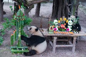 Chongqing Zoo Twin Giant Pandas Birthday