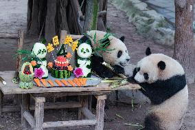 Chongqing Zoo Twin Giant Pandas Birthday