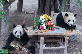 Chongqing Zoo Twin Giant Pandas Birthday