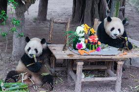 Chongqing Zoo Twin Giant Pandas Birthday