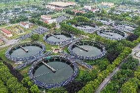 Jiangxinzhou Sewage Treatment Plant