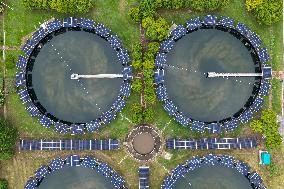 Jiangxinzhou Sewage Treatment Plant