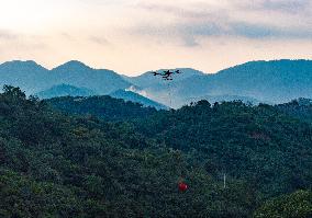 China S Largest Lychee Production Base