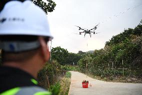 China S Largest Lychee Production Base