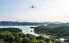 China S Largest Lychee Production Base