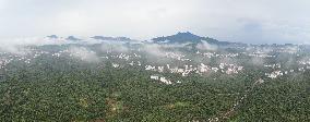 China S Largest Lychee Production Base