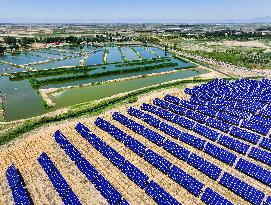 Inner Mongolia Deserts Photovoltaic Projects - China