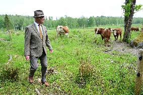 KING CARL GUSTAF STENHAMMAR DAY