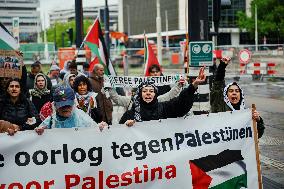 Pro Palestinian Protest Held - Rotterdam