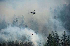 Dryden Creek Fire Rages North of Squamish - Canada