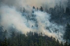 Dryden Creek Fire Rages North of Squamish - Canada