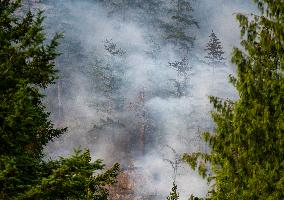 Dryden Creek Fire Rages North of Squamish - Canada