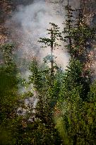 Dryden Creek Fire Rages North of Squamish - Canada
