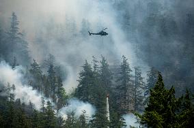 Dryden Creek Fire Rages North of Squamish - Canada