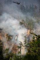 Dryden Creek Fire Rages North of Squamish - Canada