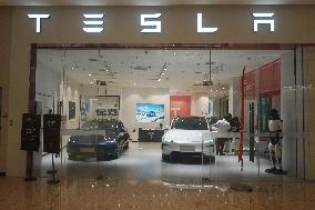 Tesla Robotaxi