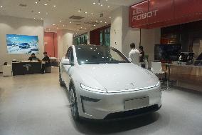 Tesla Robotaxi