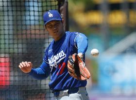 Baseball:Shohei Ohtani