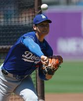 Baseball:Shohei Ohtani