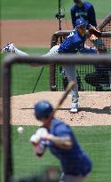 Baseball:Shohei Ohtani