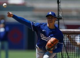 Baseball:Shohei Ohtani