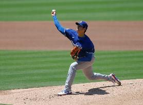Baseball:Shohei Ohtani
