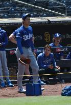 Baseball:Shohei Ohtani