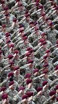 Donald Trump At US Army’s 250th Anniversary - North Carolina