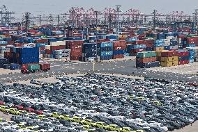 Chinese-made EV Export Growth